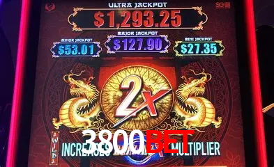 Live Casino 3800bet